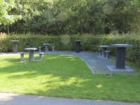 908231 Afbeelding van enkele stenen schaaktafels in het Máximapark in de wijk Leidsche Rijn te Utrecht, in de omgeving ...
